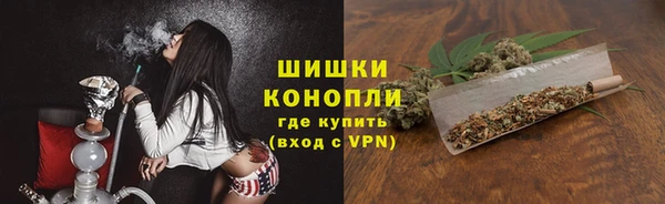 apvp Аркадак