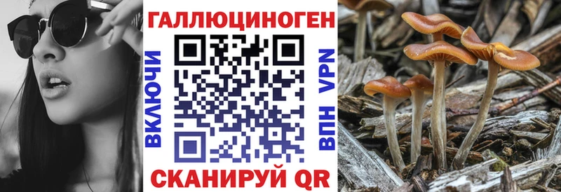 Галлюциногенные грибы GOLDEN TEACHER  Батайск 